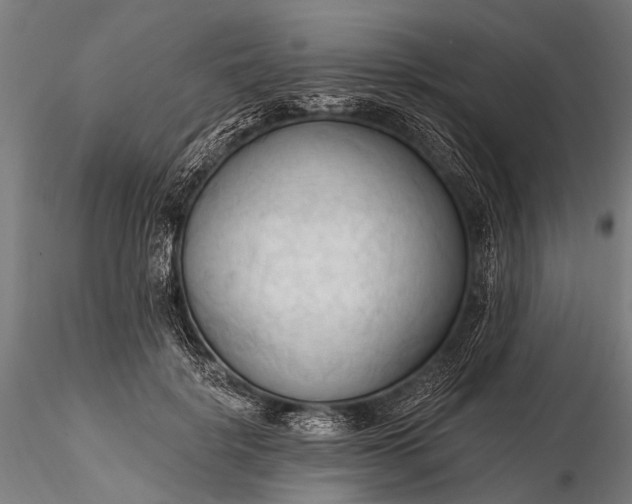 X0000116320652200912151243