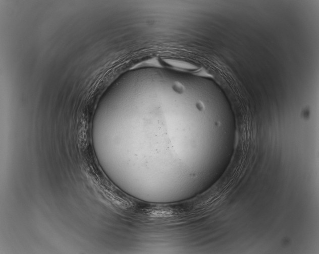 X0000116320653200912151243