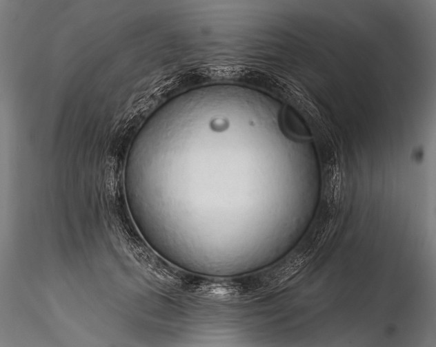 X0000116320655200912151244