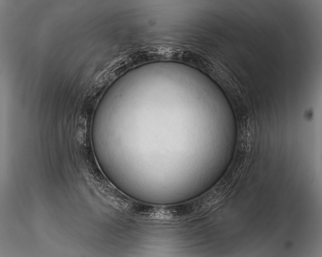 X0000116320656200912151244