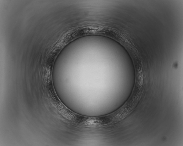 X0000116320657200912151244