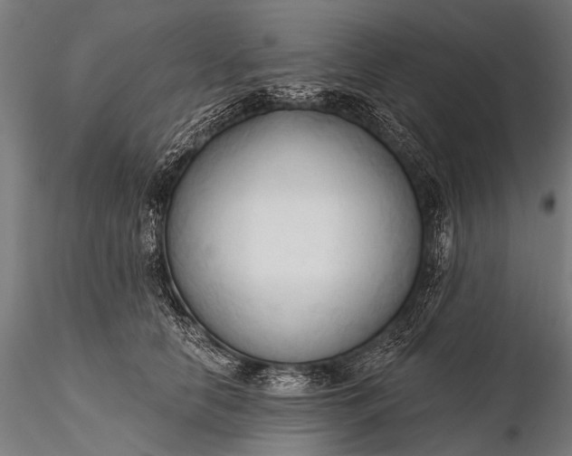 X0000116320658200912151244