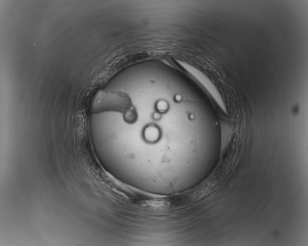 X0000116320659200912151244