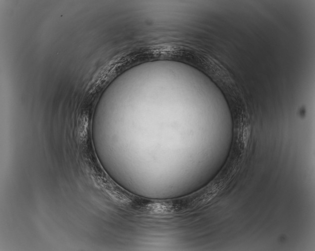 X0000116320660200912151244