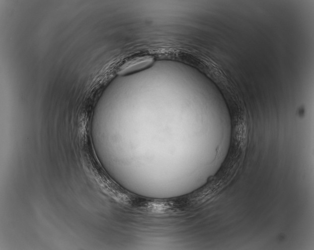 X0000116320662200912151244