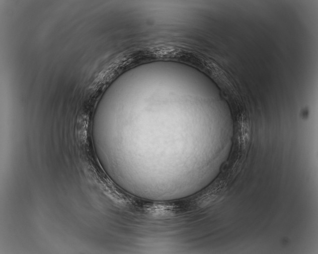 X0000116320664200912151244