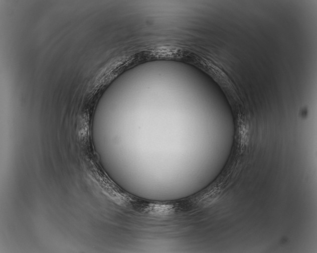 X0000116320665200912151244