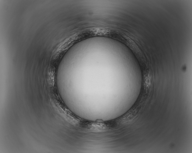 X0000116320666200912151244