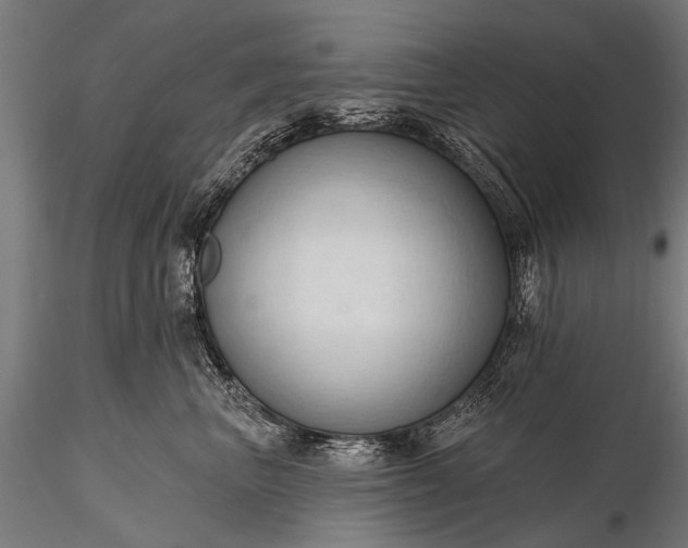 X0000116320667200912151244