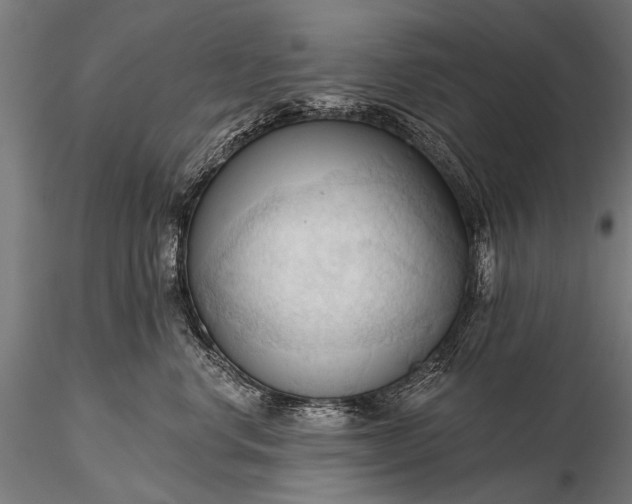 X0000116320668200912151244