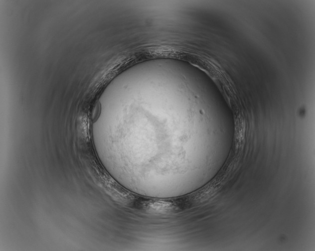 X0000116320669200912151244