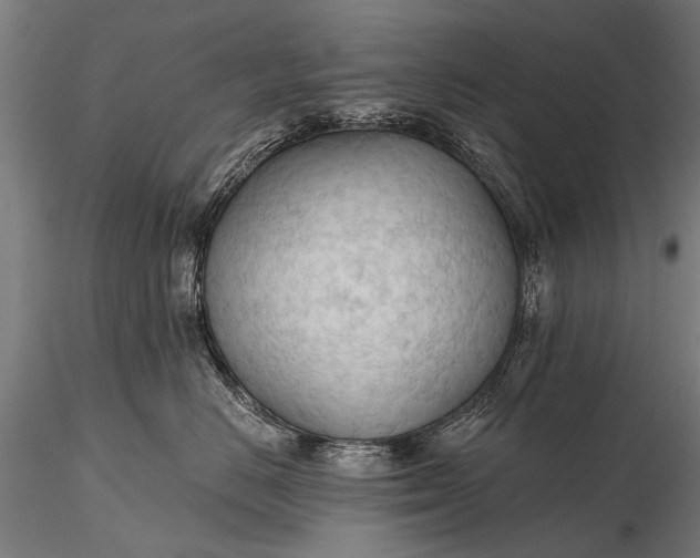 X0000116320670200912151244