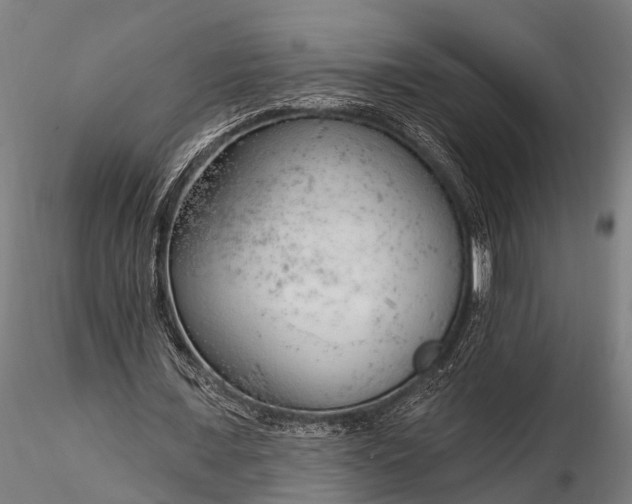 X0000116320675200912151243