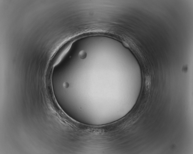 X0000116320676200912151243