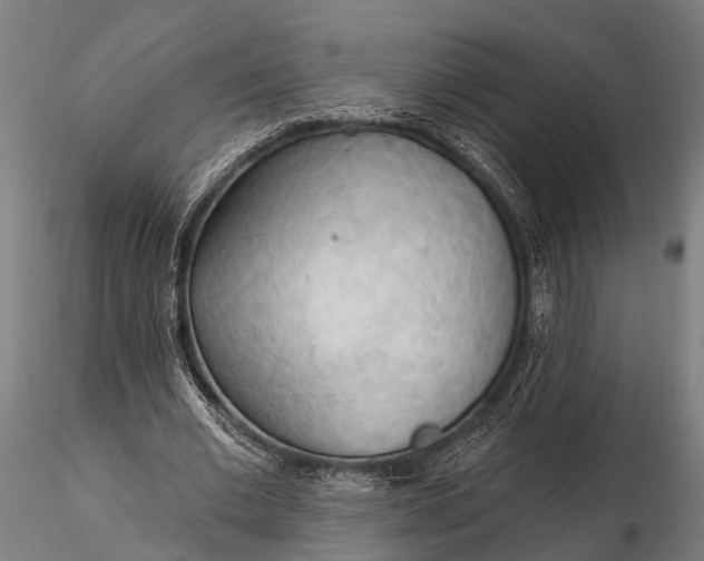 X0000116320677200912151243