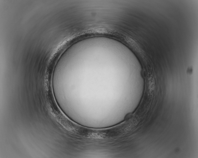 X0000116320680200912151243