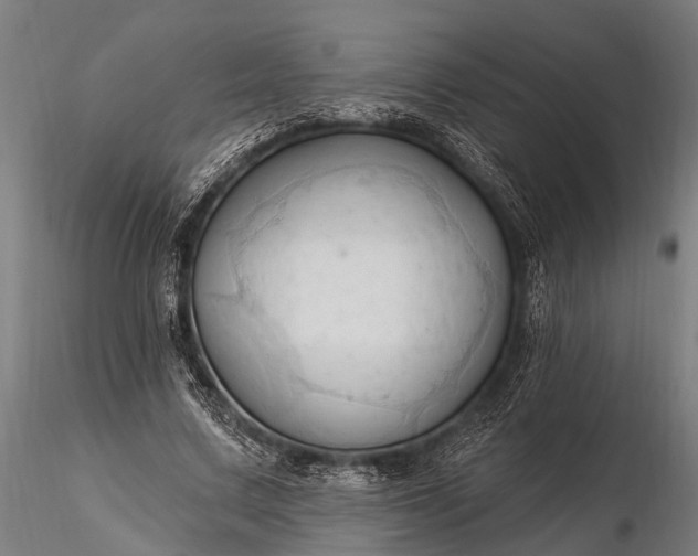 X0000116320683200912151243