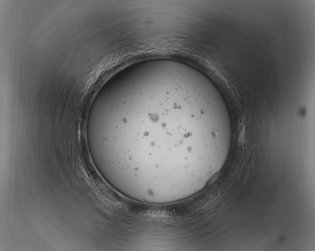 X0000116320685200912151243