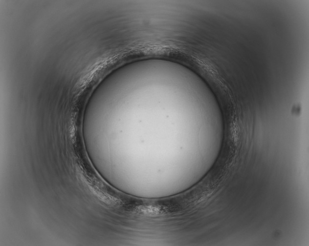 X0000116320687200912151243