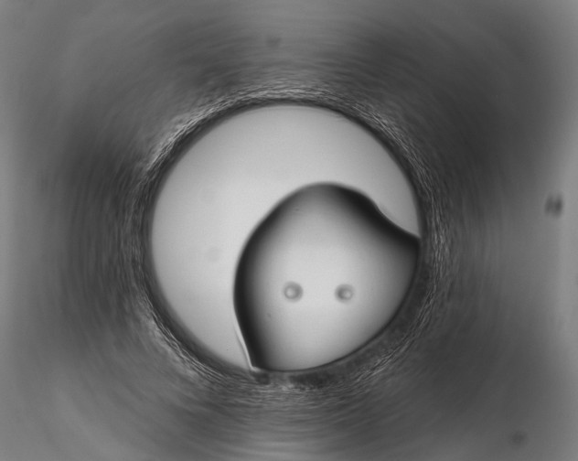 X0000116320688200912151243