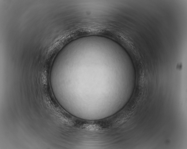 X0000116320689200912151243