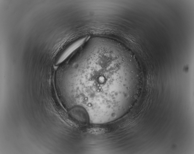 X0000116320691200912151243