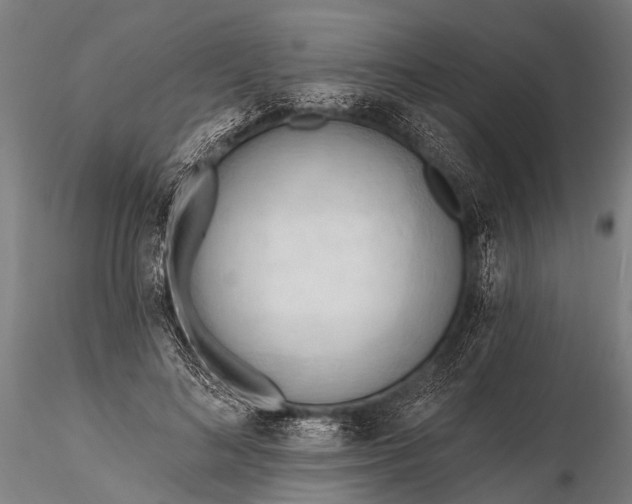 X0000116320692200912151243