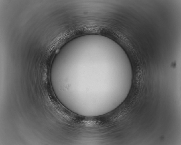 X0000116320693200912151243