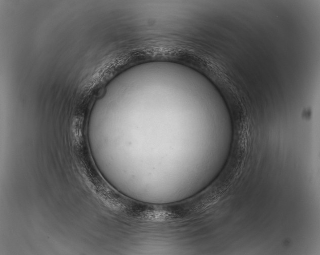 X0000116320695200912151243