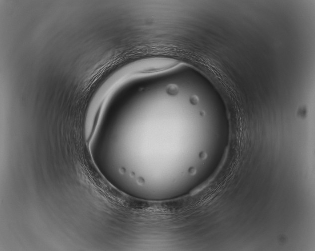 X0000116320696200912151243