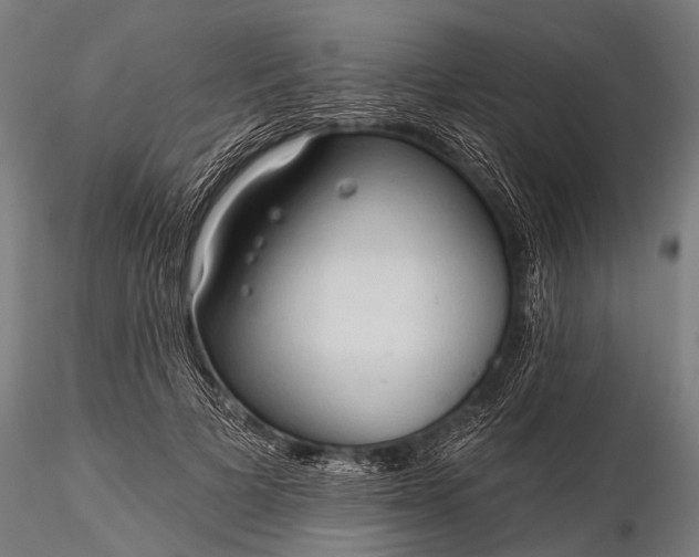 X0000116320697200912151243