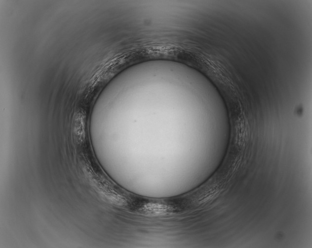 X0000116320699200912151243