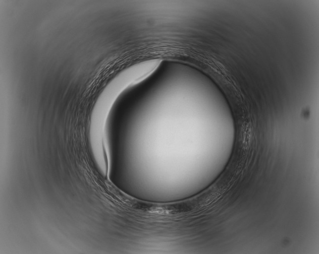 X0000116320701200912151243