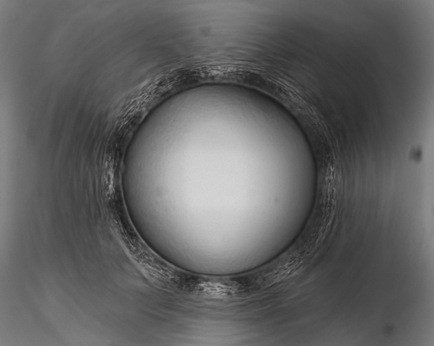 X0000116320703200912151243