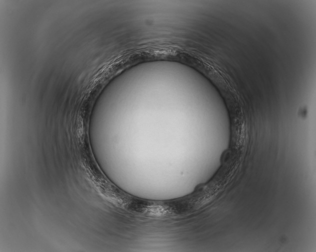 X0000116320704200912151243