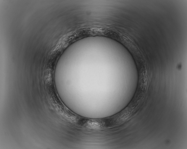 X0000116320706200912151242