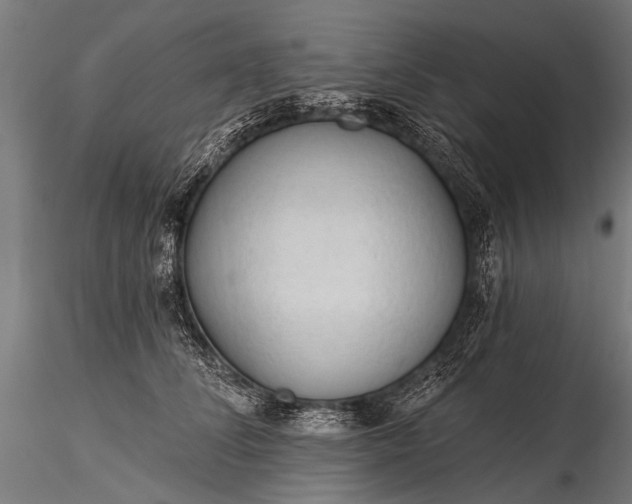 X0000116320708200912151242