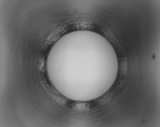 X0000116320709200912151242