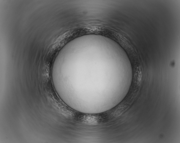 X0000116320710200912151242