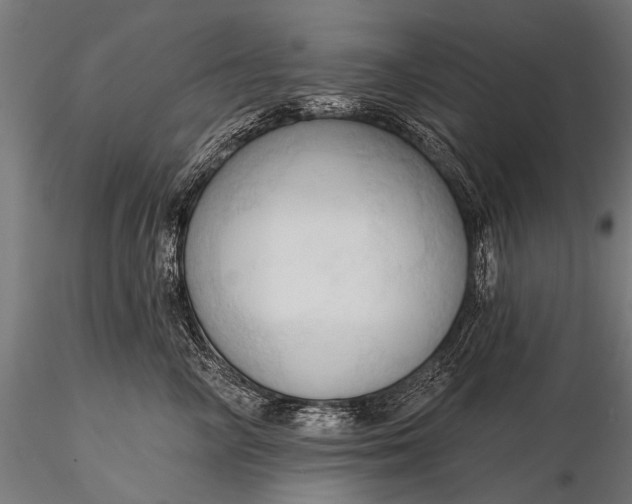 X0000116320714200912151242