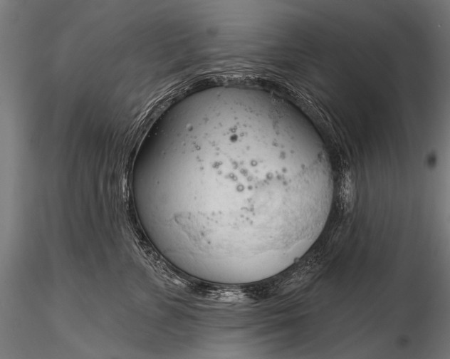 X0000116320715200912151242