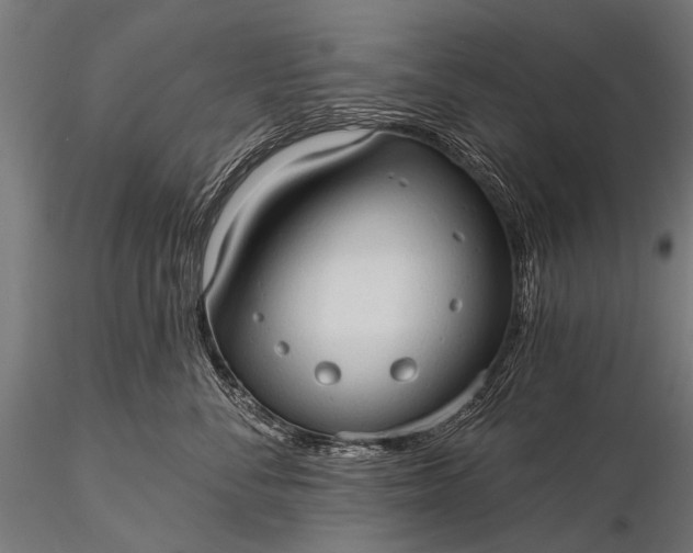 X0000116320716200912151242