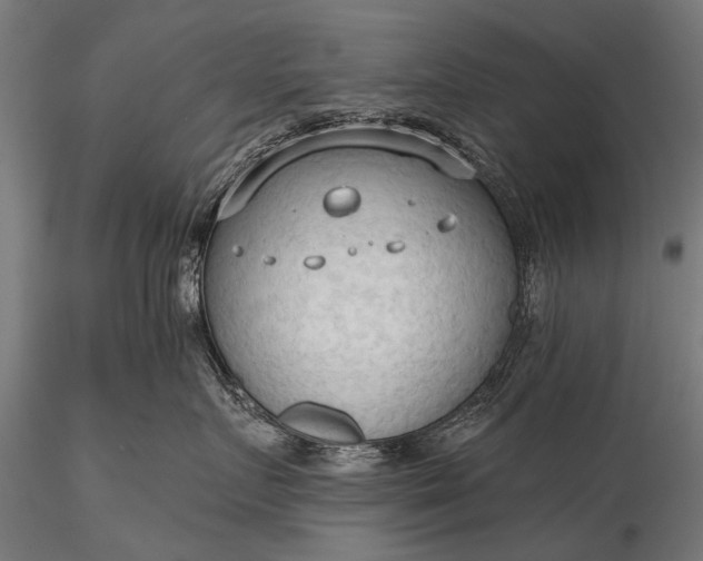 X0000116320719200912151242