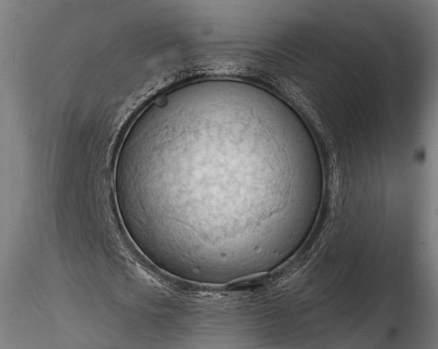 X0000116320721200912151242