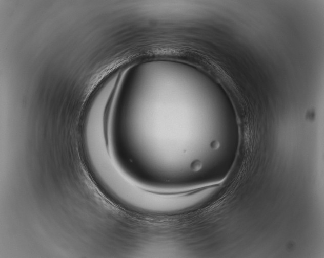 X0000116320725200912151242