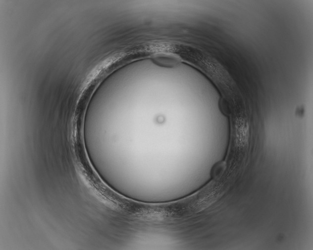 X0000116320726200912151242