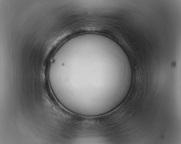 X0000116320727200912151242