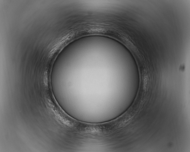 X0000116320729200912151242