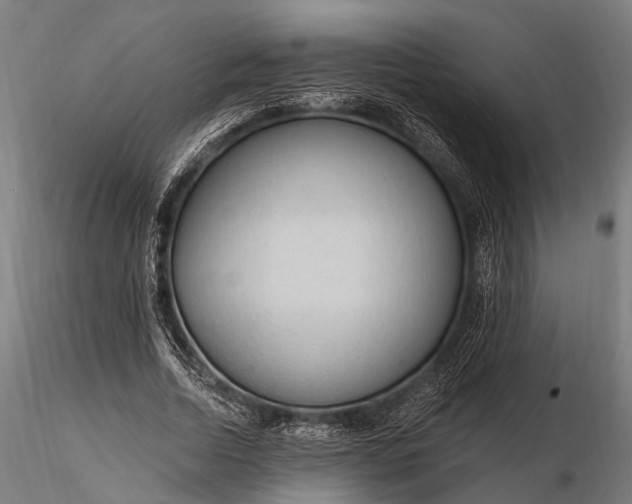 X0000116320730200912151242