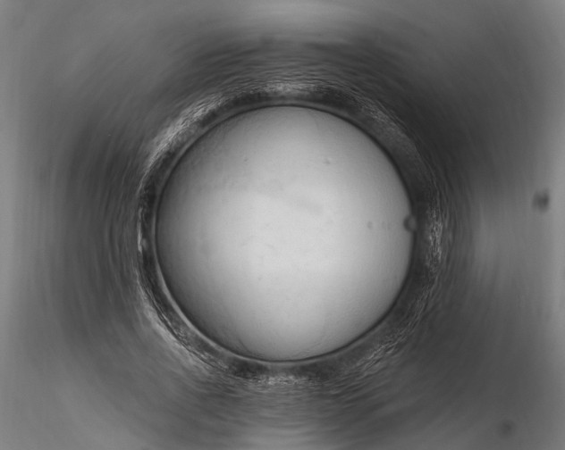 X0000116320734200912151242